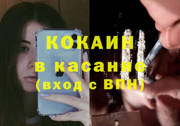 твердый Алзамай
