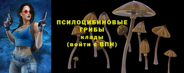 твердый Алзамай