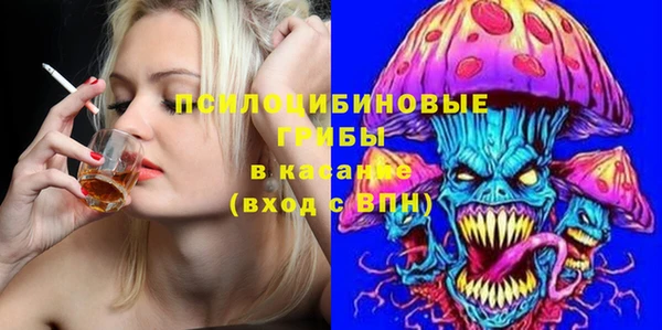 твердый Алзамай