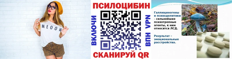 kraken ссылки  цены   Ачхой-Мартан  Псилоцибиновые грибы Psilocybe 